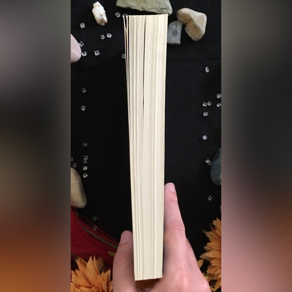 The Salt Road - by Jane Johnson - Paperback - Picture 6 of 8